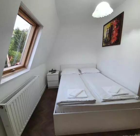 Pensió Vila Codreanu