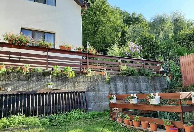 Pensiunea Magura Ocnei