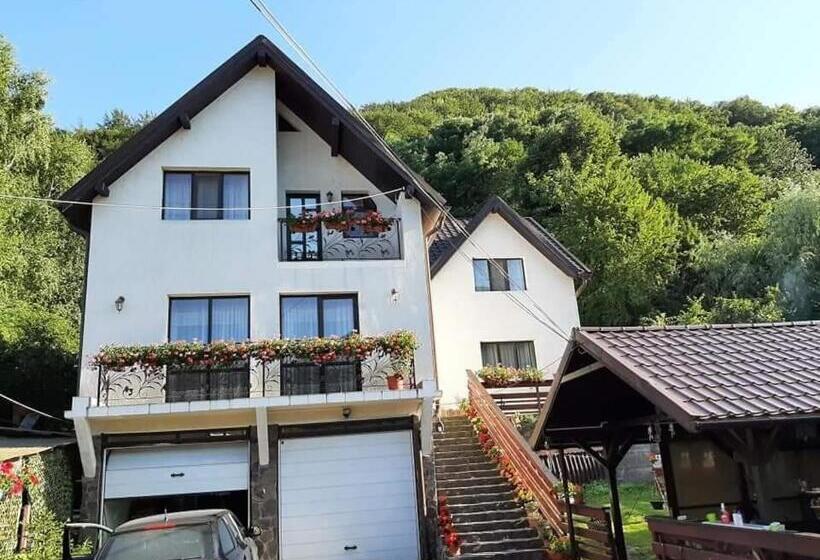 Pensiunea Magura Ocnei