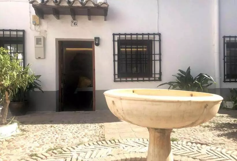 Plaza Adarve Toledo