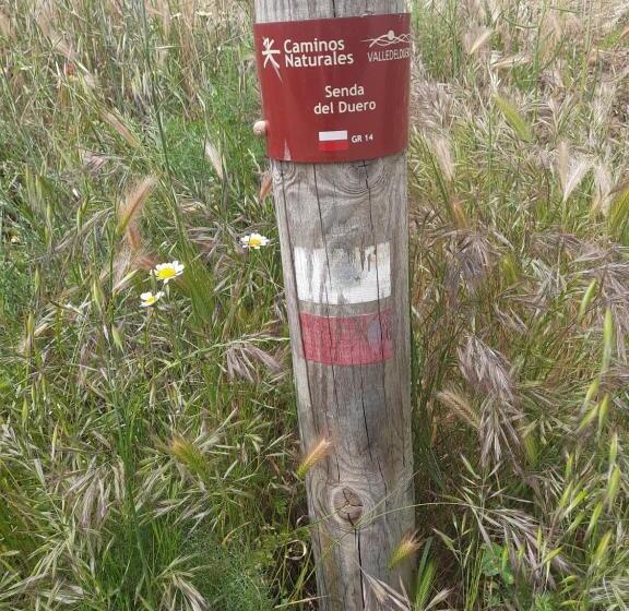 Tordesillas, Miralduero