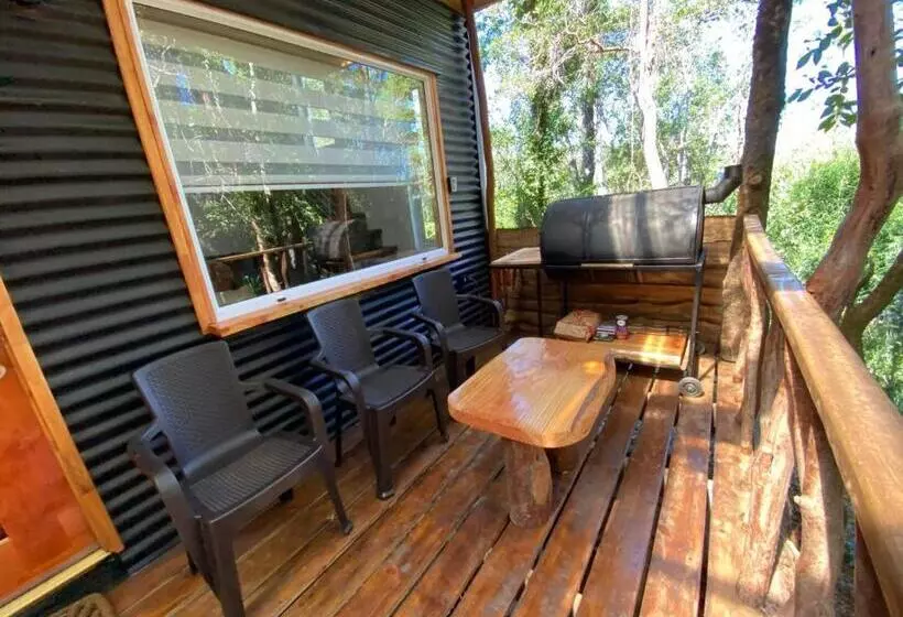 Cabaña Con Tinaja En Bosque Valdiviano