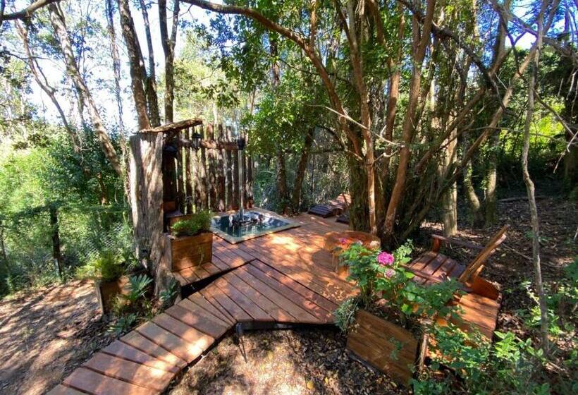 Cabaña Con Tinaja En Bosque Valdiviano