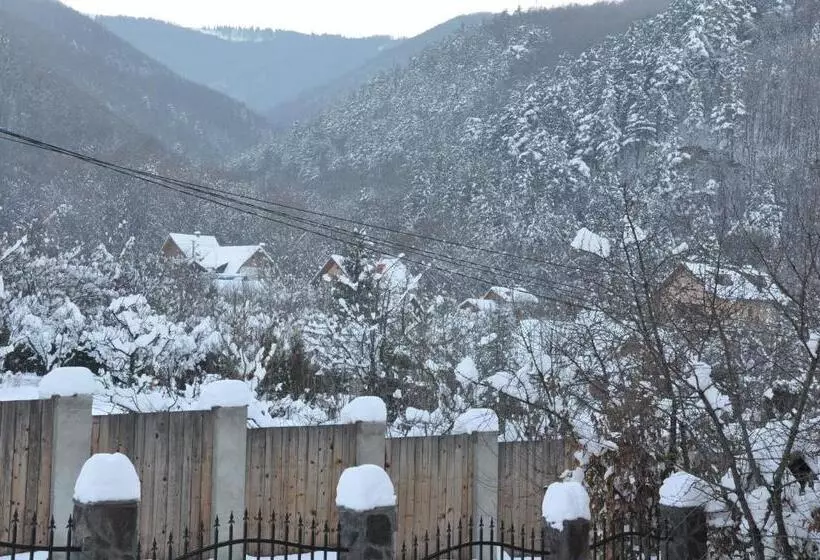 Casa De Vacanta Sadu