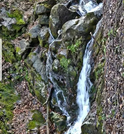 Casa De Vacanta Sadu