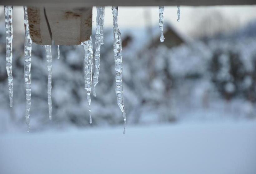 Casa De Vacanta Sadu