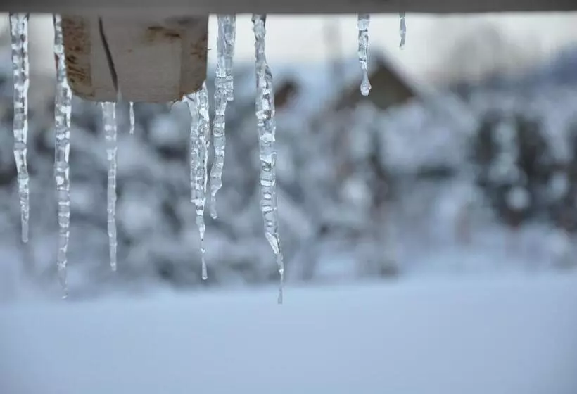 Casa De Vacanta Sadu