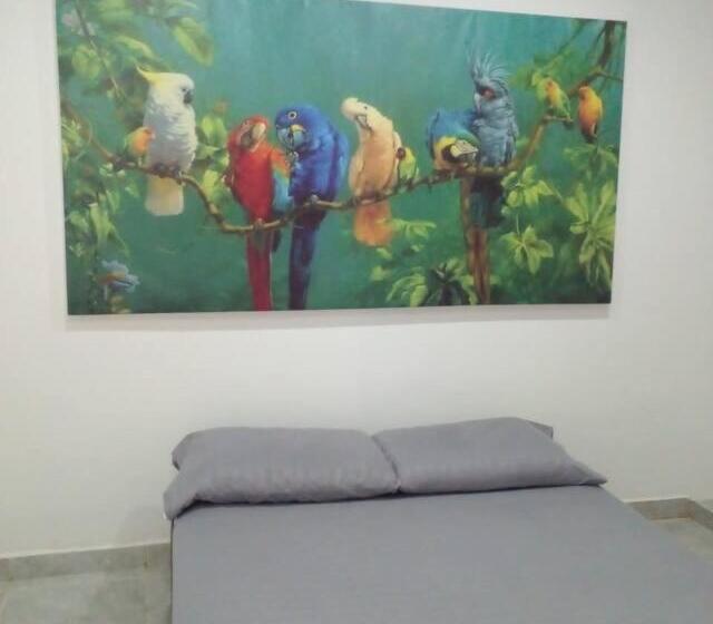 Hermoso Y Cómodo Apartamento En Leticia