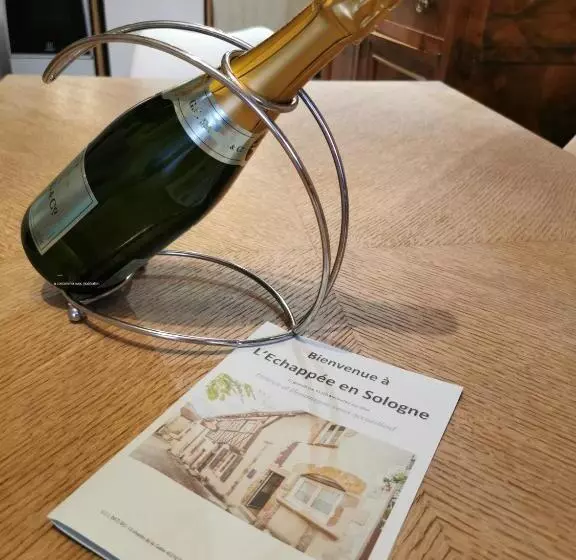 L échappée En Sologne