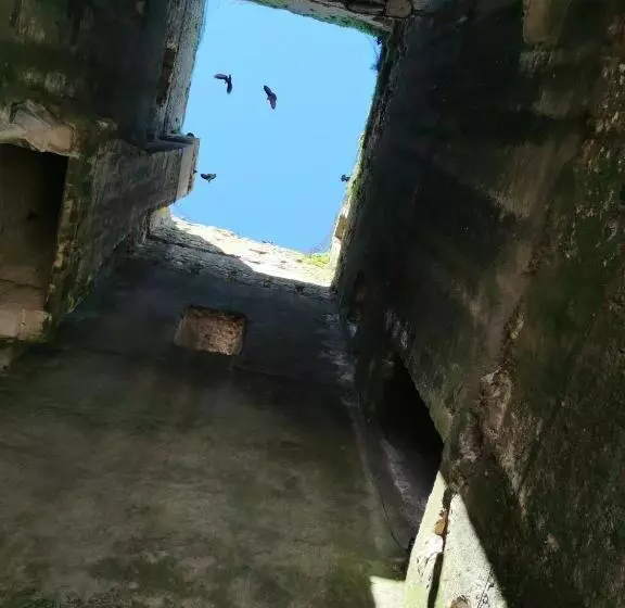 L échappée En Sologne