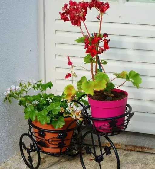 Aamiaismajoitus (B&B) Au Coeur Du Marais