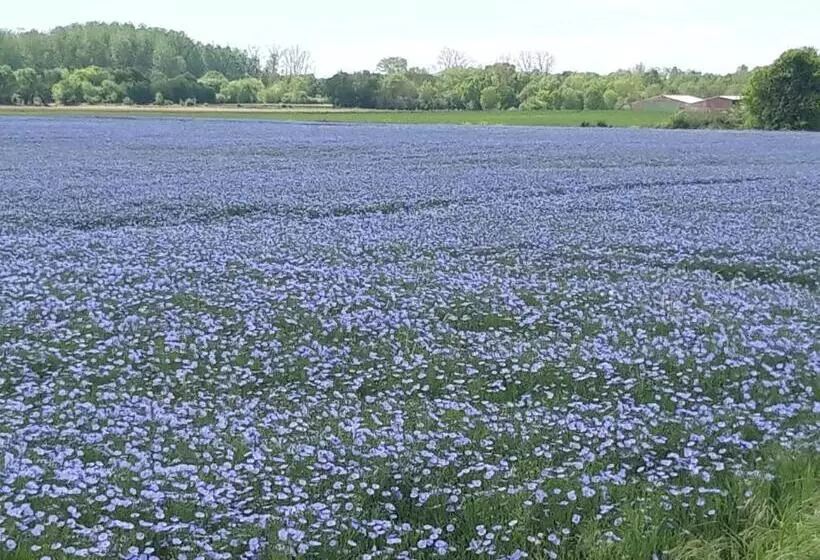Aamiaismajoitus (B&B) Au Coeur Du Marais