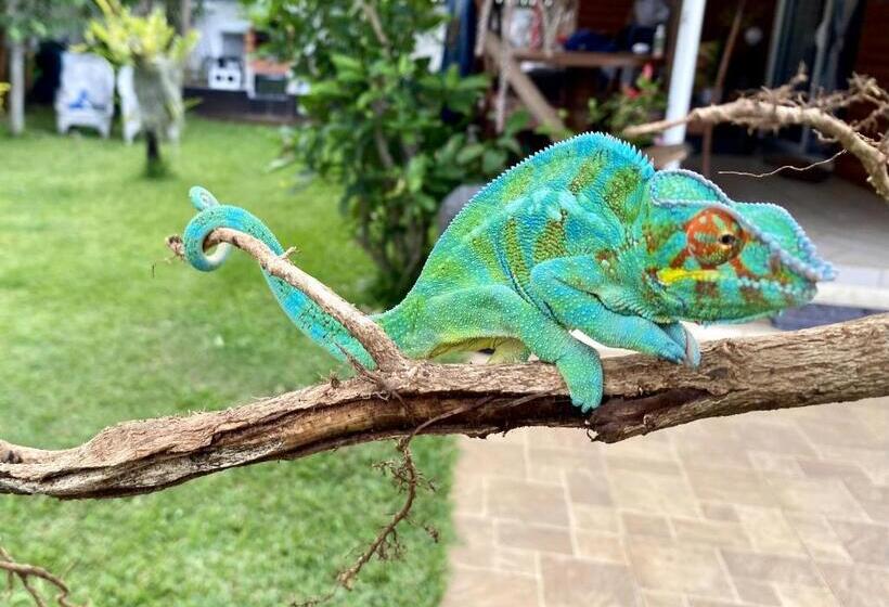 Chalet Charmant A Saint Joseph Avec Terrasse Et Jardin