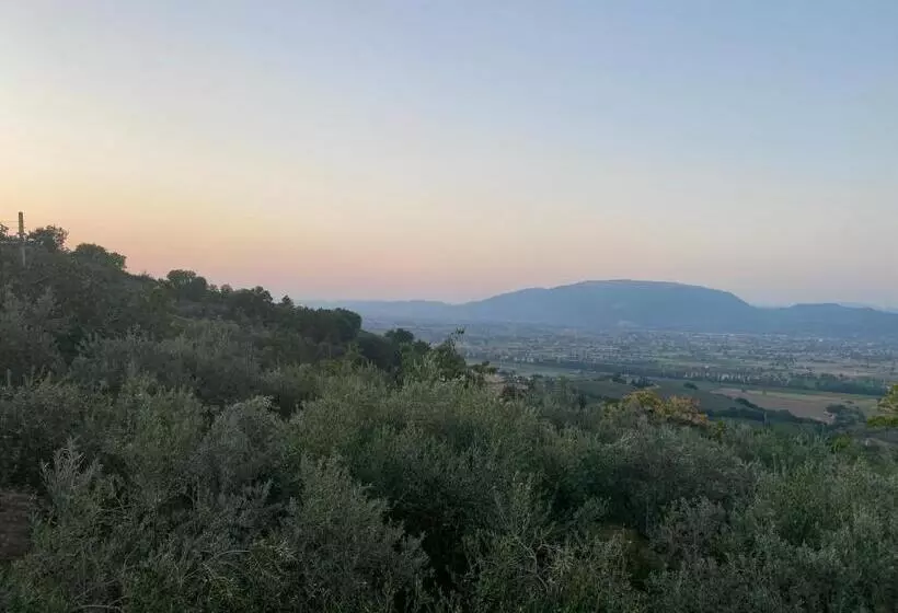 ホテル Agriturismo Casa Orsini