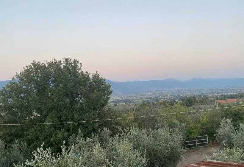 ホテル Agriturismo Casa Orsini
