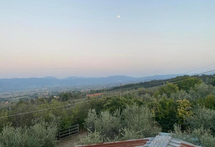 בית מלון כפרי Agriturismo Casa Orsini