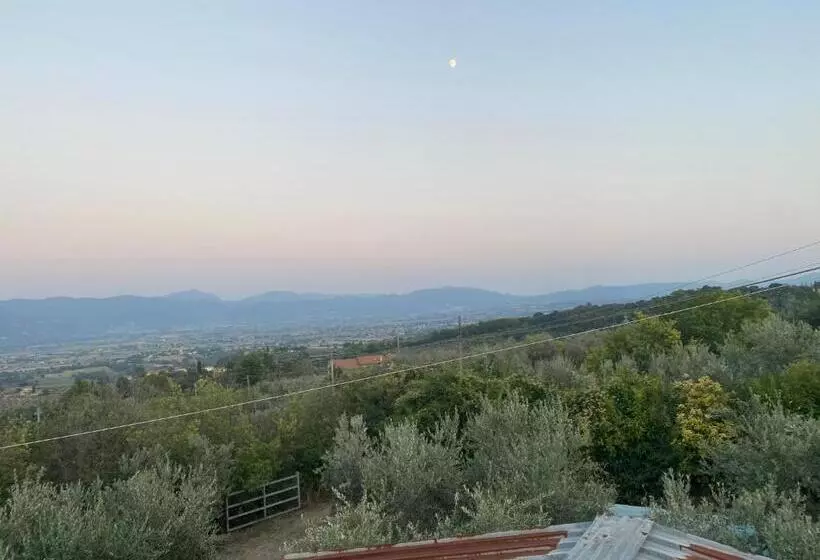 ホテル Agriturismo Casa Orsini