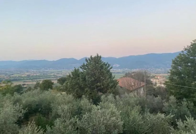 ホテル Agriturismo Casa Orsini