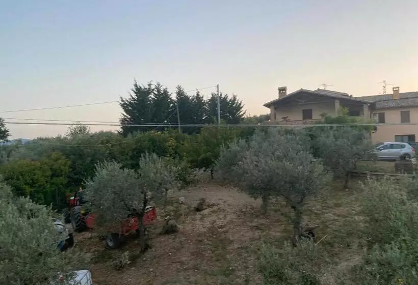 ホテル Agriturismo Casa Orsini