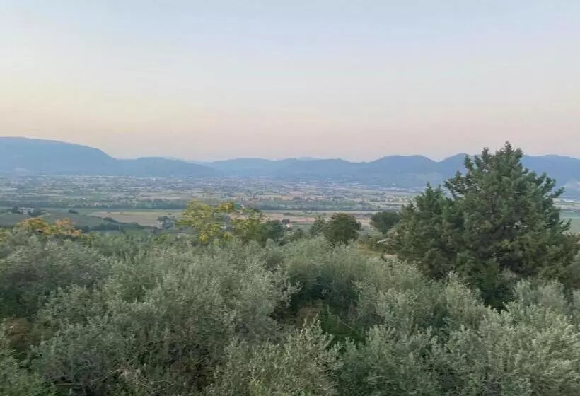 ホテル Agriturismo Casa Orsini