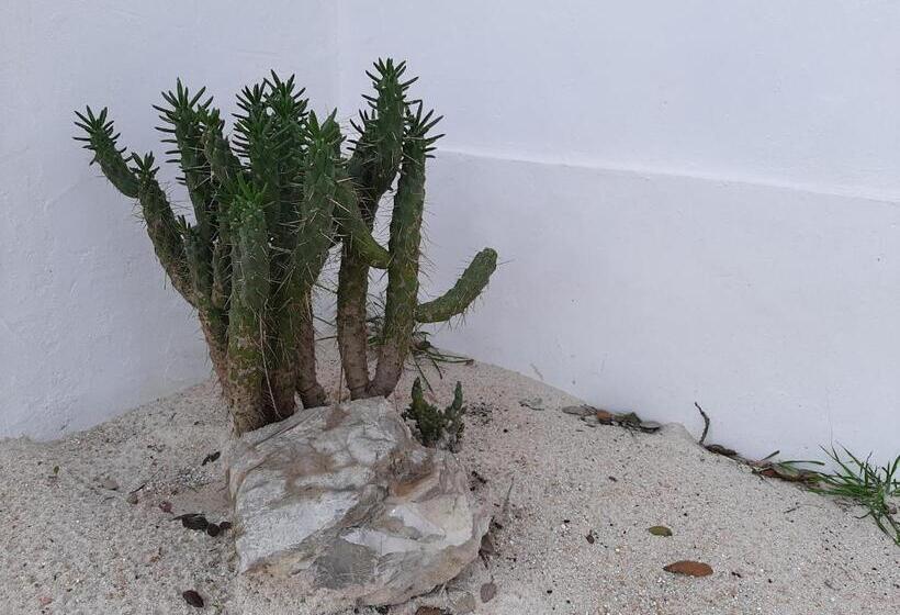 Monte Vale Manhãs By Hi Alentejo