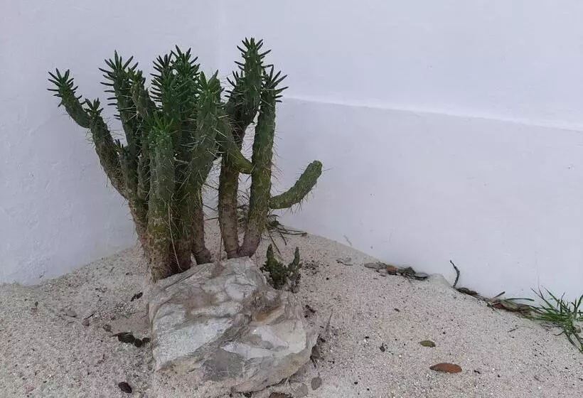 Monte Vale Manhãs By Hi Alentejo