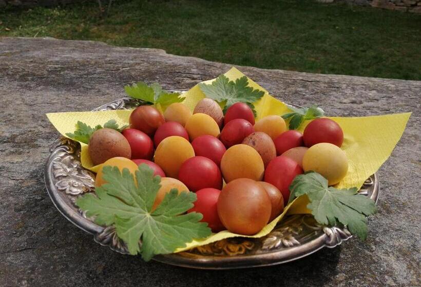 펜션 къща за гости кануш войвода