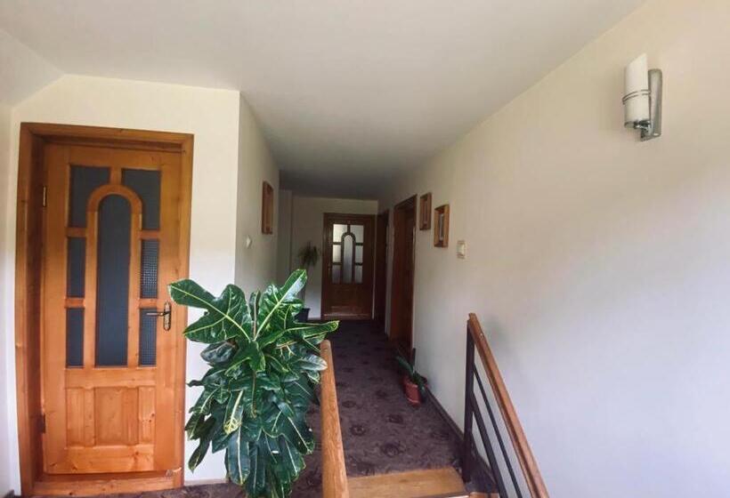 Pensiunea Casa Domniței Sucevița