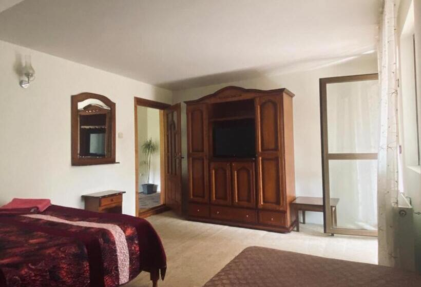 Pensiunea Casa Domniței Sucevița