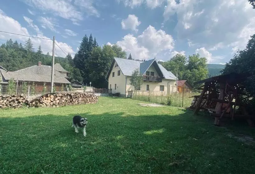 Pensiunea Casa Domniței Sucevița