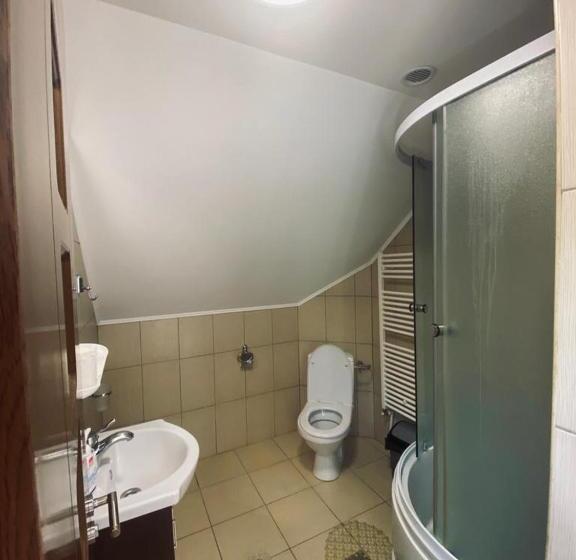 Pensiunea Casa Domniței Sucevița