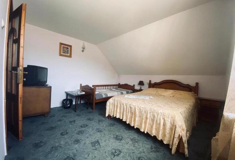 Pensiunea Casa Domniței Sucevița