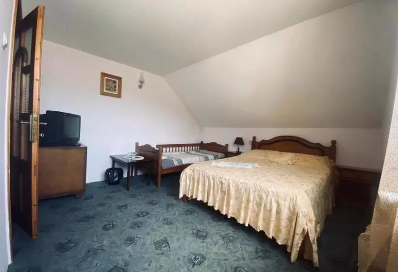 Pensiunea Casa Domniței Sucevița