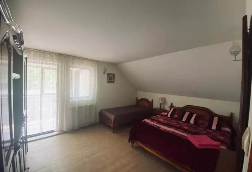 Pensiunea Casa Domniței Sucevița