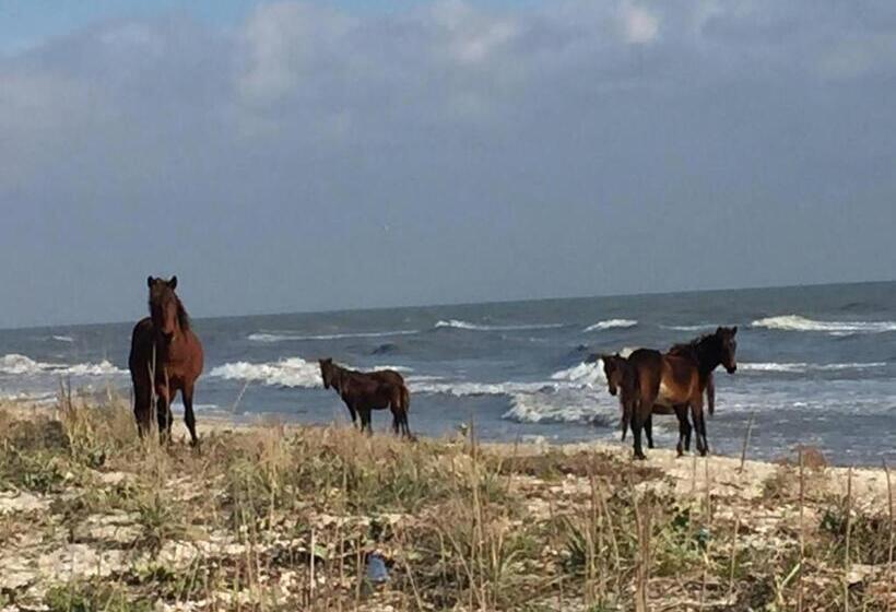 Pensiunea știuca șchioapă