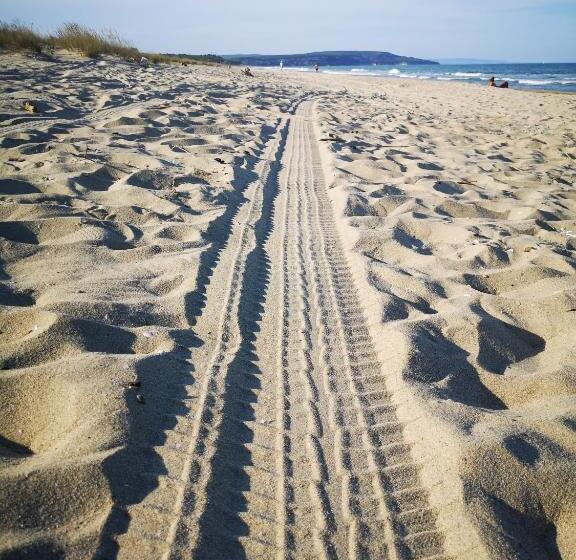 هاستل Weißer Schwan белият лебед