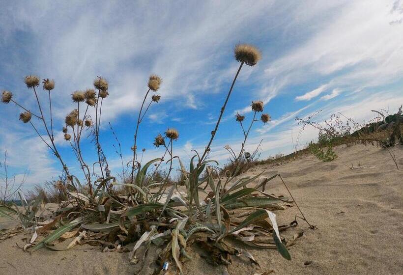 هاستل Weißer Schwan белият лебед