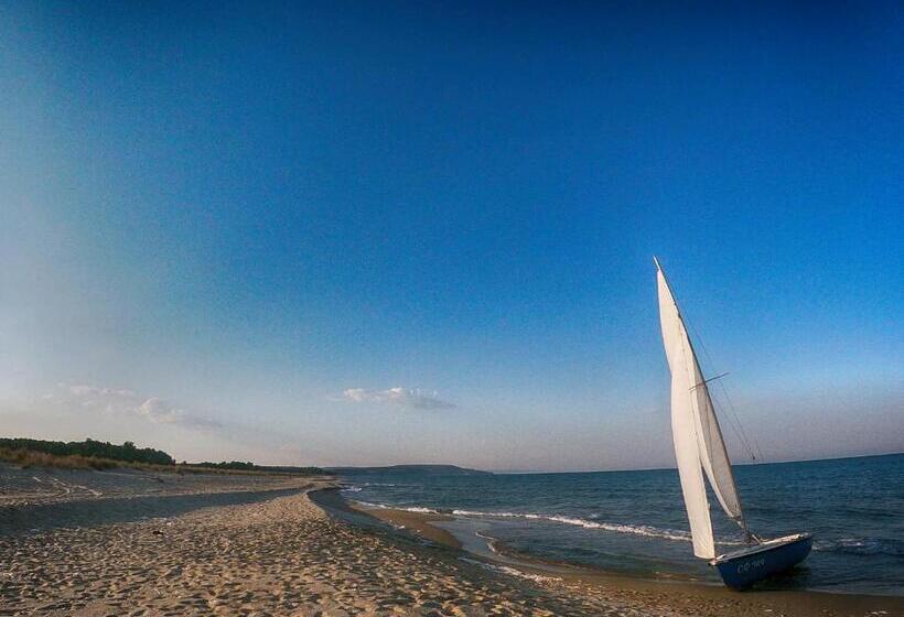 هاستل Weißer Schwan белият лебед