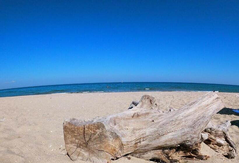 هاستل Weißer Schwan белият лебед