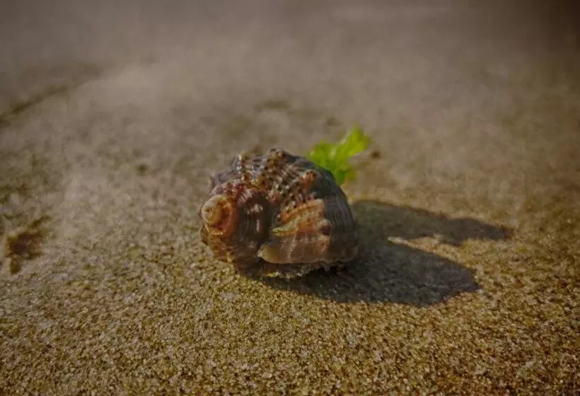 ユースホステル Weißer Schwan белият лебед