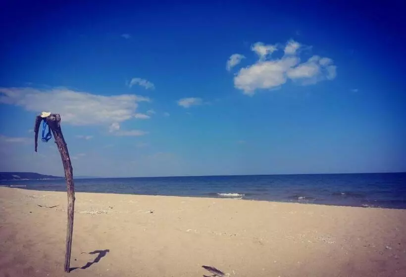 ユースホステル Weißer Schwan белият лебед