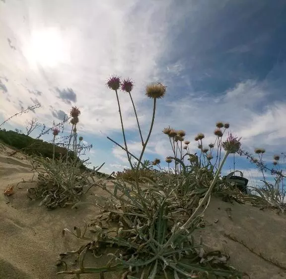 ユースホステル Weißer Schwan белият лебед