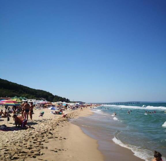 هاستل Weißer Schwan белият лебед