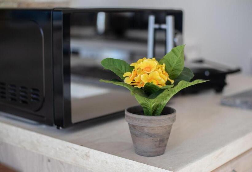 Amazing Seaview Duplex Penthouse