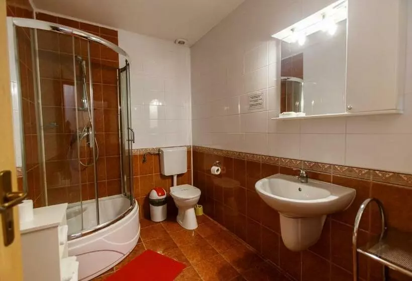 ペンション Domeniul Dracula Daneș