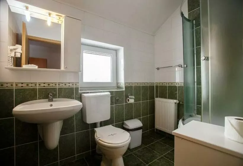 ペンション Domeniul Dracula Daneș