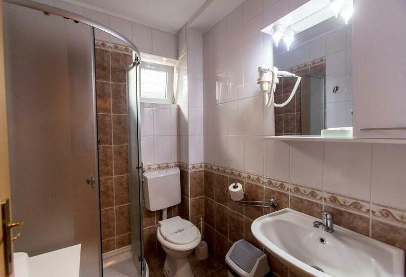 بنسيون Domeniul Dracula Daneș