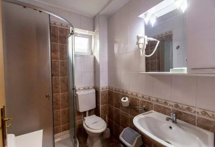 ペンション Domeniul Dracula Daneș