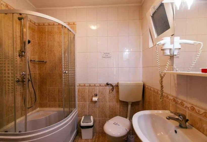 ペンション Domeniul Dracula Daneș