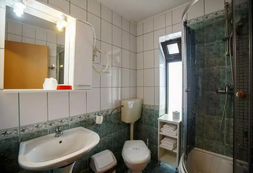 ペンション Domeniul Dracula Daneș